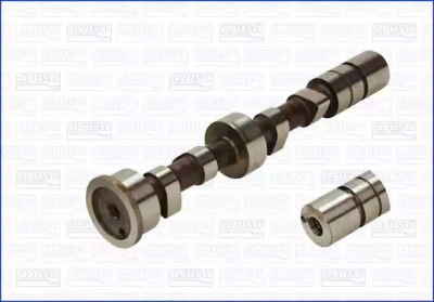 WILMINK GROUP wg1171305 -  Распредвал